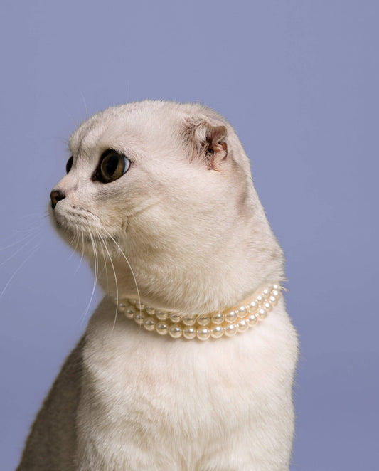 Zweireihige Luxus-Perlenkette